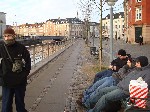556